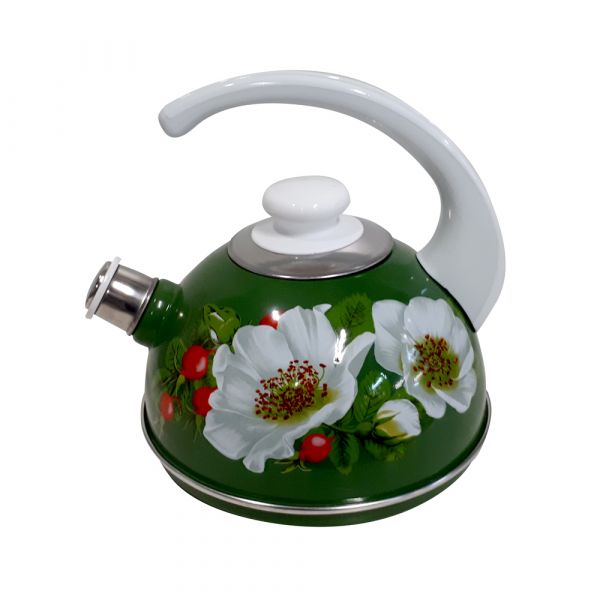 Kettle 2.5l ?04/25/07/33/?03 green/marichka handle (decor-stainless steel on white)